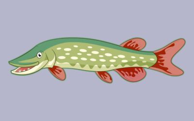 De snoek
